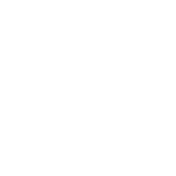 SEARCH