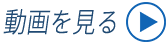 動画を見る
